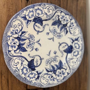 Piatto ovale o rotondo antico Villeroy & Boch Dresden Blue Transferware / Venduto singolarmente