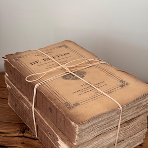 フランスのアンティーク書籍セット • ブッフォン自然史大全 1834