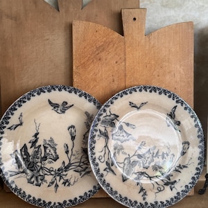 Antique French Transferware Plates: Botanical Ironstone, Late 1800s Curated Pair