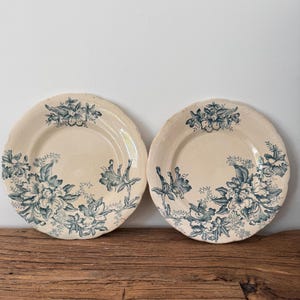 Piattini da dessert antichi francesi Flore / Set di 2 pezzi con decorazione floreale blu a trasferimento.