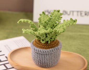 Handmade Crochet Fern Plant | Potted Cotton Yarn Desk Decor