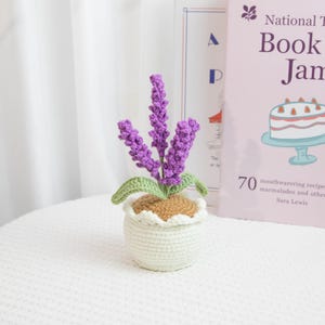 Könnte beinhalten: Eine handgefertigte Häkellavendel-Pflanze in einem weißen Topf. Der Lavendel hat violette Blütenstände, grüne Blätter und eine braune Basis. Der Topf ist weiß mit einem gewellten Rand. Ein Buch ist im Hintergrund.