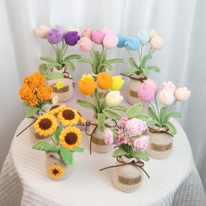 Mothers Day gift, Crochet flower pot, crochet flower gift, graduation, birthday gift for friend, , desk decorations, forever lasting flowers