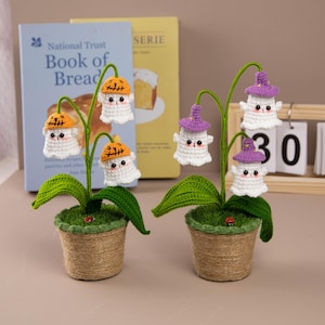 Puede incluir: Dos plantas de fantasmas de ganchillo en macetas tejidas. Cada planta tiene hojas verdes, una pequeña mariquita y figuras de fantasmas blancos con sombreros naranjas o morados. Los libros están en el fondo.