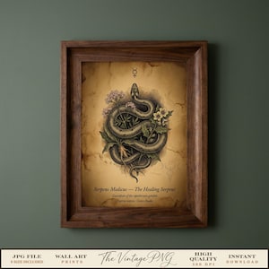 Botanical Snake Wall Art, Apothecary Serpent Print, Healing Serpent Poster, Witchy Dark Academia, Vintage Occult Art, Printable Wall Art