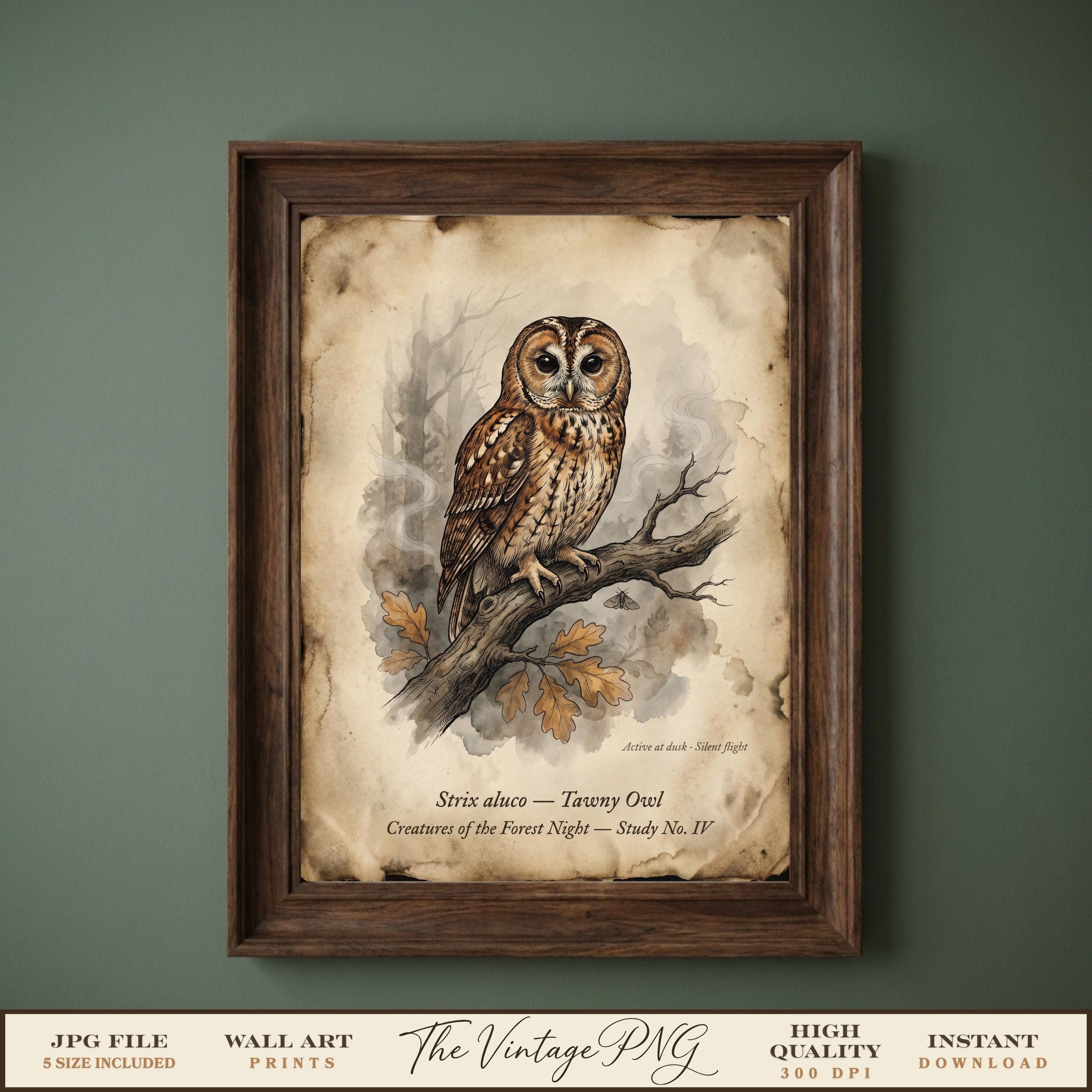 Vintage Owl Wall Art Print, Tawny Owl Forest Print, Dark Cottagecore Botanical Poster, Nature Study,