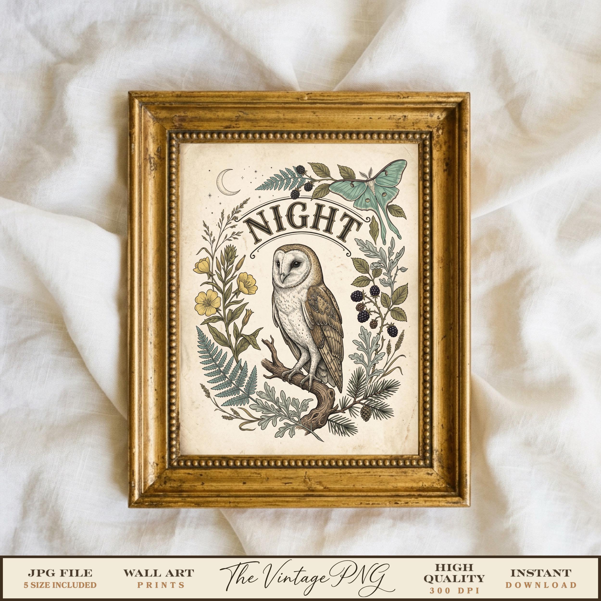 Owl Wall Art Print, Vintage Botanical Owl Print, Night Barn Owl Poster, Cottagecore Luna Moth Decor,