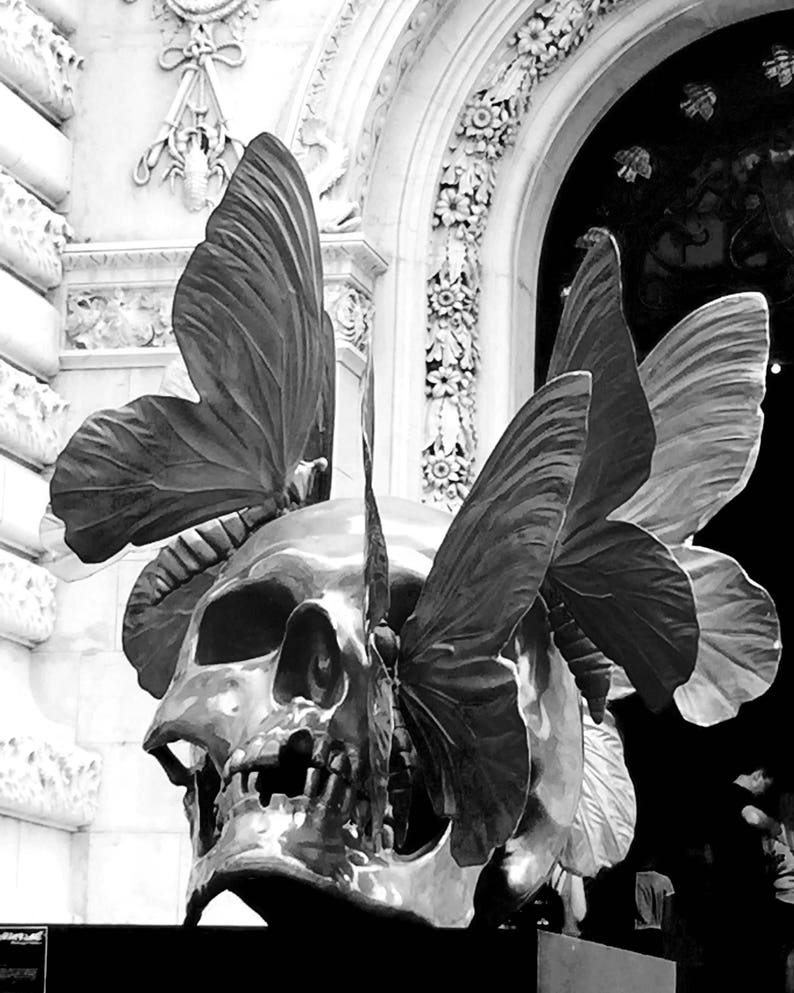Skull And Butterfly Prints Gothic Wall Decor Black And White Etsy