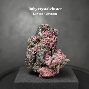 Peut inclure: Un amas de cristaux de rubis de Luc Yen, au Vietnam, présentant des formations cristallines rose-rouge vibrantes incrustées dans une matrice minérale sombre et texturée de couleur charbon. Le texte Ruby crystal cluster Luc Yen Vietnam est visible.