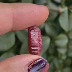 Cristal de rubí natural en bruto de 6,40 ct – Rubí rojo en bruto de 15,9 mm, pieza única para colgante o anillo, gema de colección + rubí a juego