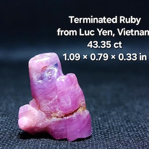 Peut inclure: Un rubis terminé de Luc Yen, Vietnam, pesant 43,35 ct. Le rubis rose mesure 2,77 x 2,01 x 0,84 cm. L'image montre la texture naturelle et rugueuse de la pierre précieuse, avec le texte "Terminated Ruby".