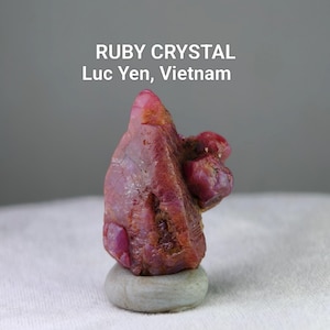 May include: A raw ruby crystal from Luc Yen, Vietnam, in shades of deep red and pink. The rough gemstone sits on a small, gray stone, with the text "RUBY CRYSTAL Luc Yen, Vietnam" in white.