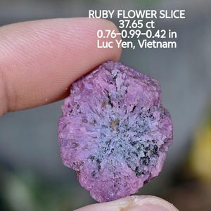 May include: A close-up of a ruby flower slice, a natural gemstone with a pinkish-purple hue. The stone has a unique, textured surface and is held between fingers. Text on the image reads "RUBY FLOWER SLICE 37.65 ct 1.93-2.51-1.07 cm Luc Yen, Vietnam."