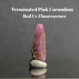 May include: A terminated pink corundum crystal with natural inclusions and a pointed top, displayed on a small white base. The text above the crystal reads: Terminated Pink Corundum Red Uv Fluorescence. The mineral exhibits a vibrant pink hue.