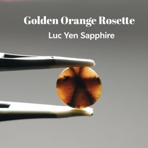 Golden Orange Rosette Pattern | 6.50 ct Luc Yen Star Sapphire Cabochon