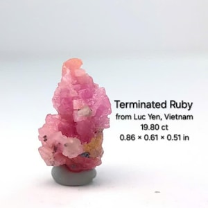 以下が含まれることがあります： ベトナム、ルックイェン産の終端ルビー、19.80 ct。ピンク色の結晶は2.18 x 1.55 x 1.30 cmです。画像は、白い背景に灰色のベースに置かれたルビーを示しています。