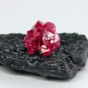May include: A cluster of deep red crystals sits atop a dark, textured, black stone. The crystals have multiple facets, reflecting light. The stone has a rough, pitted surface. The background is plain white, highlighting the mineral specimen.