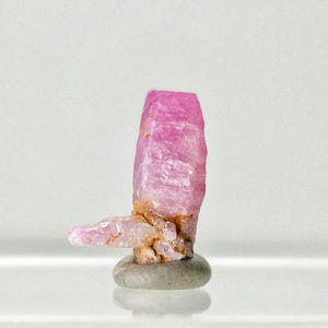 May include: A raw, pink ruby crystal specimen. The ruby is a vibrant pink color with a rough, textured surface. It is mounted on a small, gray stone base, showcasing its natural form and beauty. The ruby's shape is elongated, with a smaller crystal extending from its side.