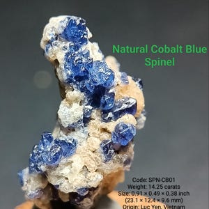 14.25ct Natural Cobalt Blue Spinel Cluster  – Intense Luc Yen Specimen, Vietnam Collector Mineral, Raw Crystals for Display