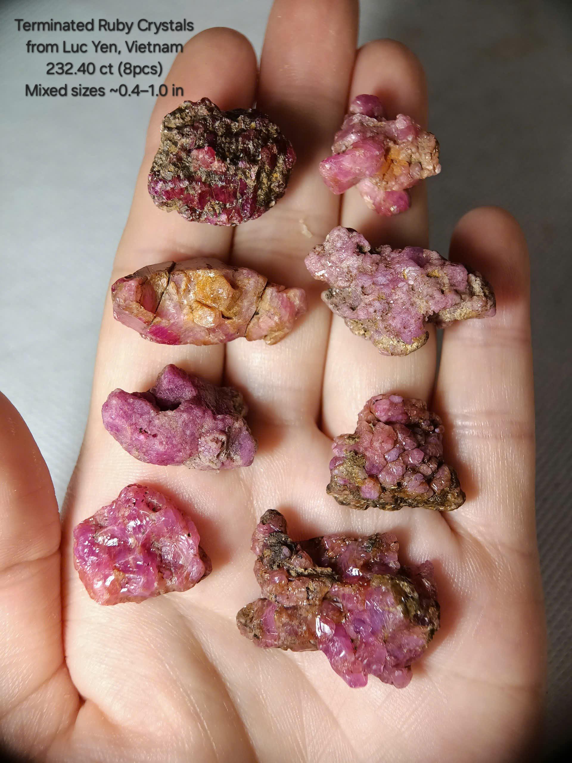 232 ct Natural Ruby Crystal Lot – 8 Pieces Raw Ruby from Luc Yen 
