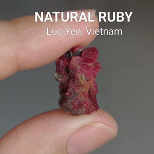 May include: A natural ruby gemstone from Luc Yen, Vietnam. The ruby is a deep red color with a rough, unpolished texture. The text "NATURAL RUBY" and "Luc Yen, Vietnam" are displayed in white.
