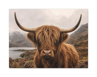 Highland Cow Matte Canvas | Stretched Wall Art