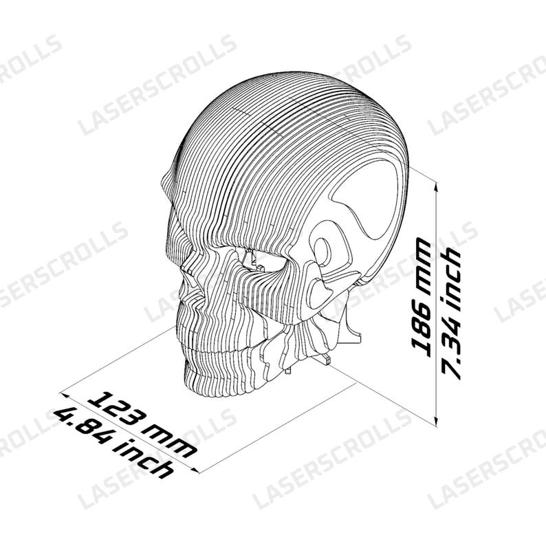 Skull Laser Cut Files for 3mm | LED Lantern - SVG DXF | 3D Realistic ...