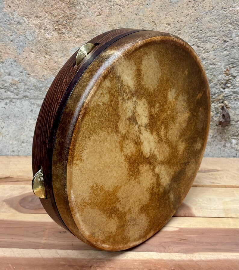 Bass Thing String Instrument Tunable Hybrid Bass Tambourine/pandeiro-tamburello-kanjira) /10”/wenge ...