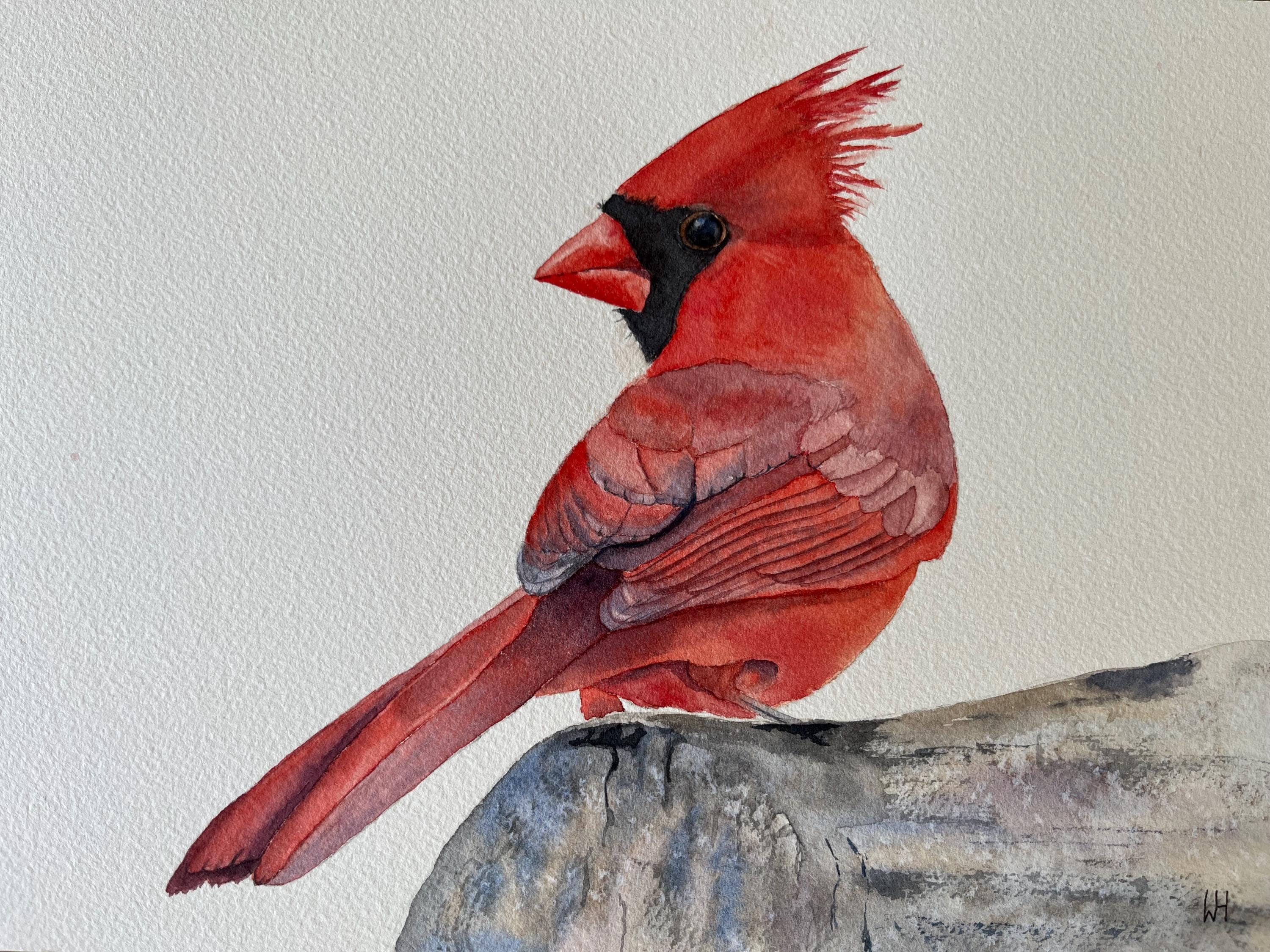 Original watercolor painting of male cardinal bird
