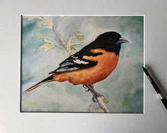 Watercolor art print of oriole bird