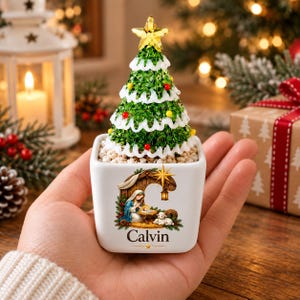 May include: A small white square planter featuring a nativity scene illustration and the name Calvin printed on the front. The planter holds a miniature green Christmas tree topped with a yellow star and decorated with small red and yellow spheres.