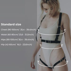 May include: Black harness with adjustable buckles. The image shows the chest, waist, hips, and hip measurements in centimeters and inches. The text reads "Standard size" and includes measurements for chest, waist, hips, and hip.