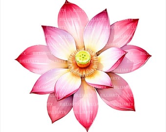 Watercolor Lotus Flower Clipart PNG Bundle, Botanical Lotus Blossoms, Floral Graphics Set, Digital Download