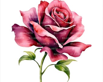 Watercolor Rose Clipart PNG Bundle, Floral Rose Flowers, Wedding Botanical Graphics, Sublimation Design Download