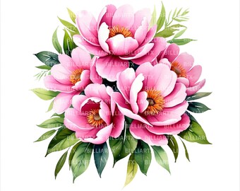 10 Clipart PNG di bouquet di peonie ad acquerello, composizione di fiori di peonia rosa, pacchetto di grafica floreale botanica, download digitale