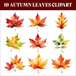 Watercolor Autumn Leaves PNG: Fall Clipart Bundle (Digital Download