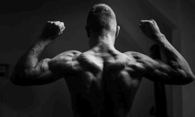 8 Week Gym Workout Plan for Men Fat Loss and Muscle Gain Program PDF - Etsy
