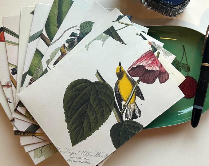 Upcycled Nature Audubon Stationery Set | Vintage Inspired