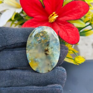 May include: An oval-shaped gemstone with a unique pattern of yellow, blue, and brown inclusions. The stone has a polished surface and is held in a dark gray glove. A red flower and yellow flowers are in the background.