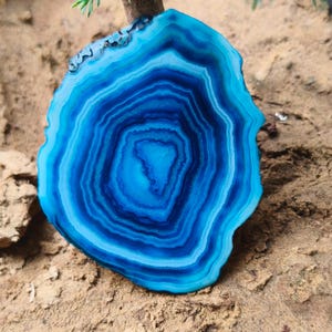 May include: A polished agate slice featuring concentric bands of vibrant blue, ranging from deep navy to bright cyan. The stone has an irregular, organic shape with a translucent quality and a smooth, glossy surface that highlights the natural patterns.