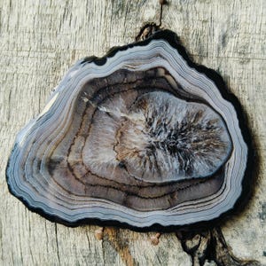 May include: A polished agate slice featuring concentric bands of black, grey, and white. The centre displays a crystalline, starburst-like formation in shades of dark brown and translucent white, surrounded by intricate, wavy mineral layers.