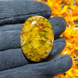 May include: Oval-shaped gemstone with a vibrant yellow and green pattern, accented with brown and white hues. The polished stone is held against a dark gray fabric background, with a scattering of orange flower petals.