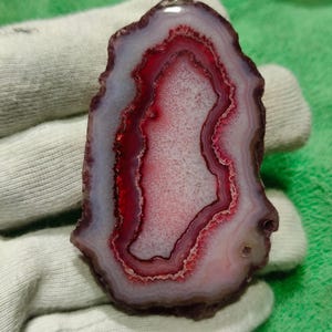 May include: A polished agate stone slice with a layered pattern of colours. The centre is white, surrounded by bands of red and purple, with a dark brown outer edge. The stone is held by a white glove.