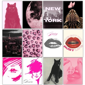 May include: A set of pink and black art prints. The prints include a pink cat, a moon, the New York skyline, an ocelot with a butterfly, the Empire State Building, a leopard print, lips with the word "Juicy", lips with the text "She Got The Ruby Lips", an eye, a fashion illustration with the word "Desire", a black cat with heels, and lips with a disco ball.