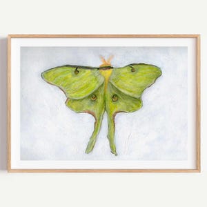 Luna Moth Wall Art Print Hand Painted Green Moth Illustration Nature Inspired Art Boho Nursery Decor Whimsical Insect Artwork Giclee Print