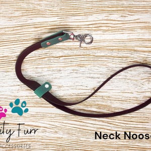 Puede incluir: Un cabestro de cuello burdeos oscuro para mascotas, con detalles turquesa y un cierre plateado. El producto es de la marca "Vanity Furr" con gráficos de huellas de patas. El texto "Neck Noose" también es visible.