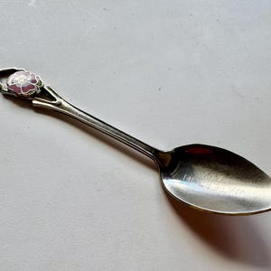 May include: A silver spoon with a floral design on the handle. The spoon's handle features a pink and white flower. The spoon's bowl has the engraved text "WATERTON PARK".
