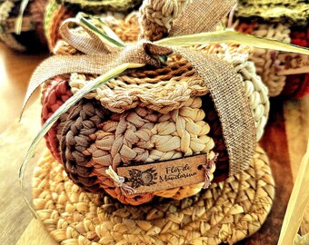 Fall decoration   Pumpkin