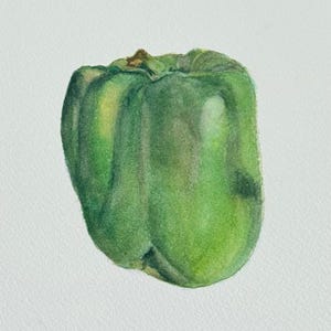 Dipinto originale ad acquerello di un peperone verde, verdura dipinta a mano, opera d'arte ad acquerello (senza cornice) 5"x7"