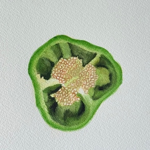 Pintura original de pimentões cortados em aquarela, pimentão verde, vegetais pintados à mão, pequena pintura em aquarela (sem moldura)